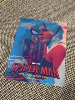 台湾映画館限定 スパイダーマン BRAND NEW DAY ポスター 혜택