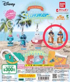 めじるしアクセサリー summer チップとデール 2体セット①
