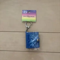 ディズニー スーベニアメダルケース 25周年