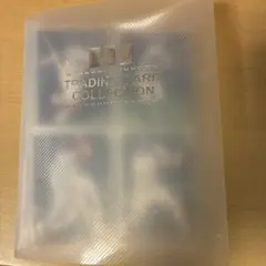 Item thumbnail for item 7d73bf9e-6b83-4e32-8c6b-98817b871647