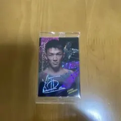 Item thumbnail for item 8b8ee67b-2034-4784-84ec-795450b44eb2