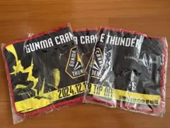群馬クレインサンダーズ タオル