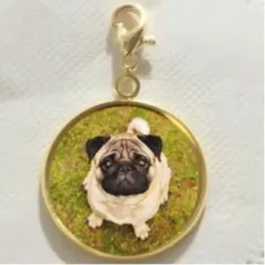 オーダー可能 ペット 家族 チャーム 見つめるパグちゃん