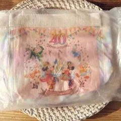 東京ディズニーランド　40周年　スーベニアランチケース　新品未開封