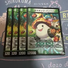 タマタンゴパンツァー　4枚