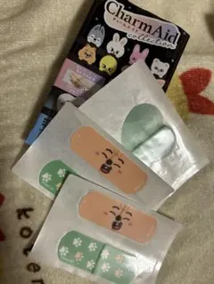 チャームエイド　ハンクオッカ ハン　セット　Stray Kids