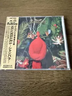 SHAMBARA シャンバラ CD 1989年発売　シティポップ