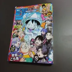 週刊少年ジャンプ レカフィグ ルーシー 応募者全員サービス 応募券無し