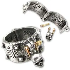 2026年最新】Alchemy Gothic アクセサリーの人気アイテム - メルカリ