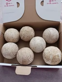 Item thumbnail for item 15d72d5e-ea54-4453-8da8-0a999cc8ae1f