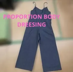 【PROPORTION BODY DREESING】グレーストライプ サロペットのサムネイル