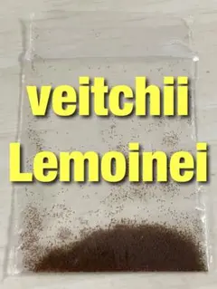 Suzuki Shunsuke様 リクエスト 3点 まとめ商品