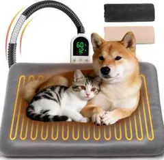 Item thumbnail for item 69a15401-e44c-4d16-ba3e-baa2adc14cac