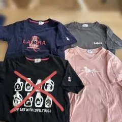 Labrador Retriever3枚セット　バラ売りご相談くださいのサムネイル