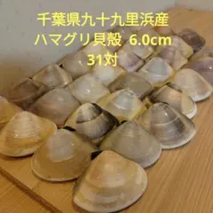 zhimuaidou4様 リクエスト 2点 まとめ商品