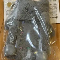 ZB1 　zeroni キーリング　メッセージ トレカケース　ウンニニ　ジウン