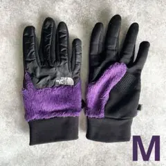 THE NORTH FACE デナリイーチップグローブ グラビティNN62122
