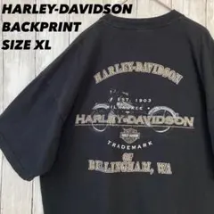 ハーレーダビッドソン Tシャツ XL 黒 イーグル 両面 ホロベック ゆるだぼ