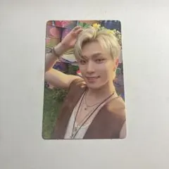 SEVENTEEN SevenTeenTh HeaVen トレカ ディノ