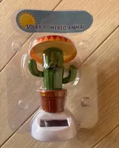 サボテン ソーラー メキシコ アガベ テキーラ 雑貨 usdm アメリカ タコス