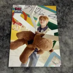 StrayKids スキズ SKZ TOY WORLD ラントレ アイエン