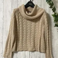 Item thumbnail for item 0ef4ff65-51e8-438c-8296-e91720bba2ad