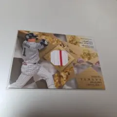 2026年最新】山田哲人ユニフォームの人気アイテム - メルカリ