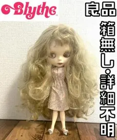 【早い者勝ち✨】ブライス タカラトミー カスタムドール 全長約30cm