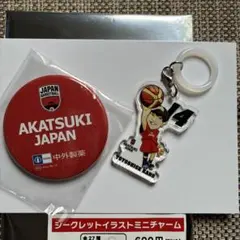 AKATSUKI JAPAN 加納誠也 めじるしミニチャーム&缶バッチ