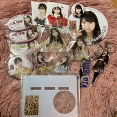 NGT48 西川晴菜 アクリルスタンド - メルカリ