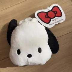 ポチャッコ　3COINS サンリオキャラクター 入れ物のみ