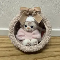 香港ディズニーランド限定 Duffy and Friends クリアポーチ