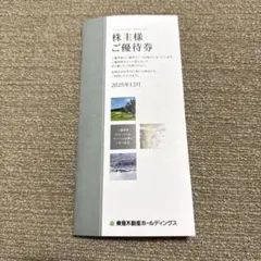 【最新版】東急不動産ホールディングス株主優待券【500～1000株未満】