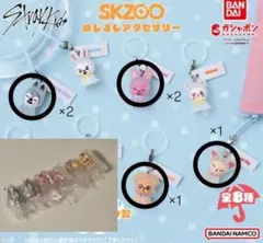 SKZOO めじるしアクセサリー