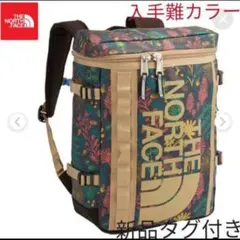 【超入手難カラー】the north face リュック21L