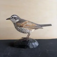 野鳥コマツグミ　リアル彫刻 バードカービング　ハンドメイド　一点物 野鳥コマツグミ リアル彫刻 バードカービング ハンドメイド 一点物