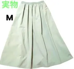 Item thumbnail for item 4455021e-36f5-47d4-a2f9-91116187857e