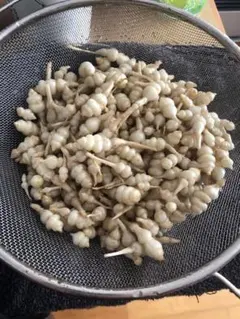 2026年最新】ちょろぎの人気アイテム - メルカリ