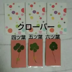 2026年最新】四つ葉のクローバー 押し花の人気アイテム - メルカリ