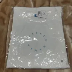 SHE'll SLEEP × INKYMAP 雷鳥夜光 2025 Tシャツ - メルカリ