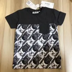 Item thumbnail for item 256c1aa4-dcdf-40d9-94d6-9df342bcf5d8