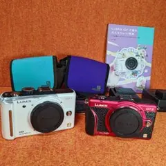 Panasonic【LUMIX 】GF2 専用ホルダー➕ズームレンズ付き Panasonic【LUMIX 】GF2 専用ホルダー➕ズームレンズ付き Panasonic