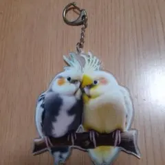 インコグッズ　可愛いオカメインコのアクリルキーホルダーのサムネイル
