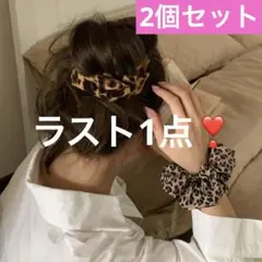 レオパード柄 シュシュ 2個セット ヒョウ柄 おしゃれ ヘアアクセサリー　冬　春