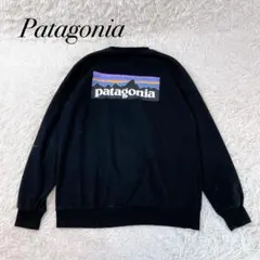 パタゴニア トレーナー