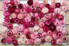 オレンジ様 リクエスト 2点 まとめ商品