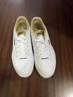 Item thumbnail for item c15cc576-6018-43e7-9259-52e1775388e4