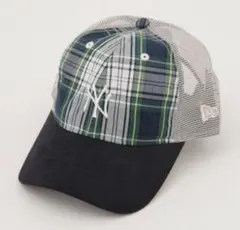 Item thumbnail for item c1584db6-3ef2-45cf-947b-602a3ab5bbac