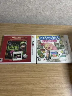 ルイージマンション & こびとづかん セットのサムネイル