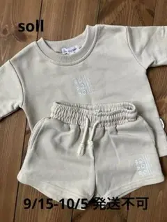 soll セットアップ　タグ付き
